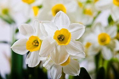 《蝙蝠侠：阿卡姆骑士》可能将迎来RTX复刻